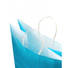 Крафт пакет с кручеными ручками, 220*130*320 (Ш*Г*В) мм (голубой) арх