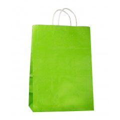 Крафт пакет с кручеными ручками, 220*130*320 (Ш*Г*В) мм (зеленый)