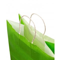 Крафт пакет с кручеными ручками, 220*130*320 (Ш*Г*В) мм (зеленый) арх