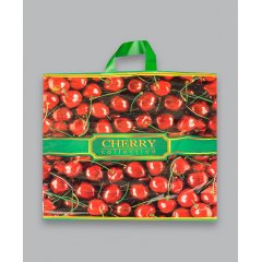 Пакет ПТЛ 48см*48см(+5)*60мкм, ПВД, 