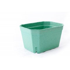 Лоток/контейнер L 190*140*105, для ягод/черри/грибов (1000гр.)., зеленый