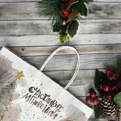 Крафт пакет с кручеными ручками, 25*22*12 (В*Ш*Г) см, 