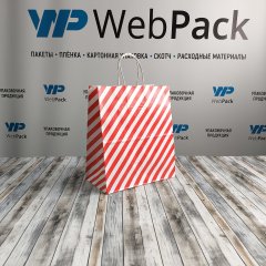 Крафт пакет с кручеными ручками, 25*22*12 (В*Ш*Г) см, 