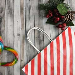 Крафт пакет с кручеными ручками, 25*22*12 (В*Ш*Г) см, 