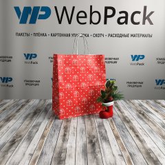 Крафт пакет с кручеными ручками, 25*22*12 (В*Ш*Г) см, 