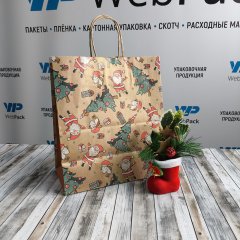 Крафт пакет с кручеными ручками, 25*22*12 (В*Ш*Г) см, 