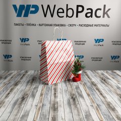 Крафт пакет с кручеными ручками, 25*22*12 (В*Ш*Г) см, 