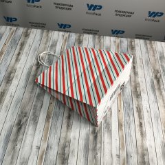 Крафт пакет с кручеными ручками, 25*22*12 (В*Ш*Г) см, 