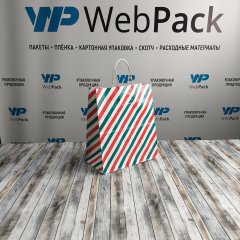 Крафт пакет с кручеными ручками, 25*22*12 (В*Ш*Г) см, 