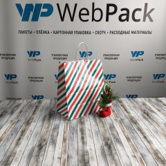 Крафт пакет с кручеными ручками, 25*22*12 (В*Ш*Г) см, 