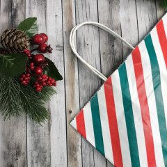 Крафт пакет с кручеными ручками, 25*22*12 (В*Ш*Г) см, 