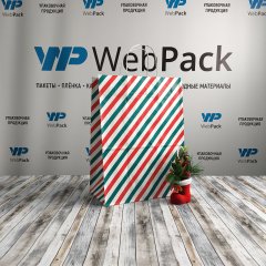 Крафт пакет с кручеными ручками, 35*26*15 (В*Ш*Г) см, 