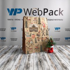 Крафт пакет с кручеными ручками, 35*26*15 (В*Ш*Г) см, 