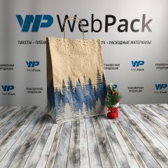 Крафт пакет с кручеными ручками, 35*26*15 (В*Ш*Г) см, 