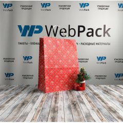 Крафт пакет с кручеными ручками, 35*26*15 (В*Ш*Г) см, 