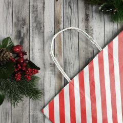 Крафт пакет с кручеными ручками, 35*26*15 (В*Ш*Г) см, 