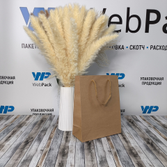 Крафт пакет с веревочной ручкой, 19*8*24 (Ш*Г*В) см (бурый)