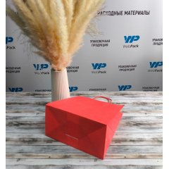 Крафт пакет с кручеными ручками, 220*120*250 (Ш*Г*В) мм (красный)