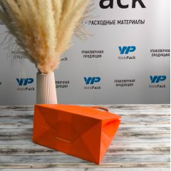 Крафт пакет с кручеными ручками, 220*120*250 (Ш*Г*В) мм (оранжевый)