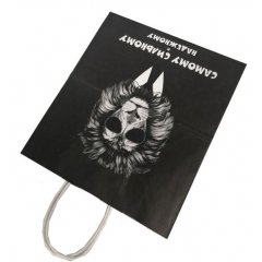 Крафт пакет с кручеными ручками, 25*22*12 (В*Ш*Г) см, 