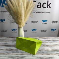Крафт пакет с кручеными ручками, 220*120*250 (Ш*Г*В) мм (салатовый)
