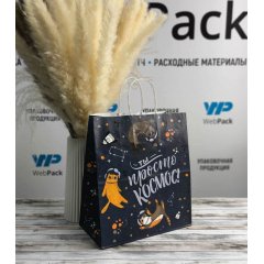 Крафт пакет с кручеными ручками, 25*22*12 (В*Ш*Г) см, 