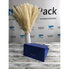 Крафт пакет с кручеными ручками, 220*120*250 (Ш*Г*В) мм (синий)