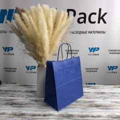 Крафт пакет с кручеными ручками, 220*120*250 (Ш*Г*В) мм (синий)