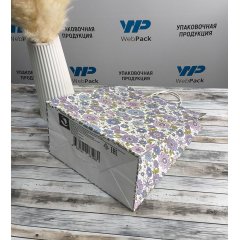 Крафт пакет с кручеными ручками, 25*22*12 (В*Ш*Г) см, 