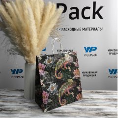 Крафт пакет с кручеными ручками, 25*22*12 (В*Ш*Г) см, 