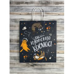 Крафт пакет с кручеными ручками, 25*22*12 (В*Ш*Г) см, 