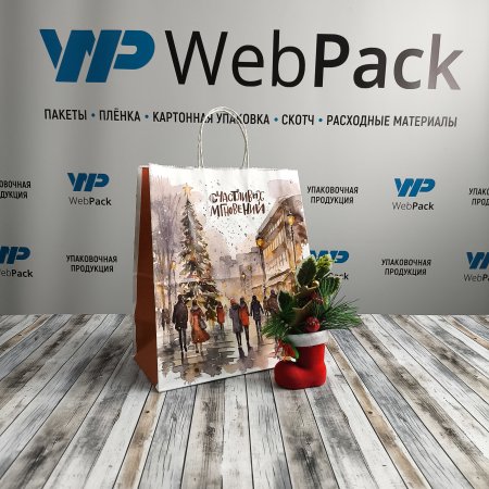 Крафт пакет с кручеными ручками, 25*22*12 (В*Ш*Г) см, 