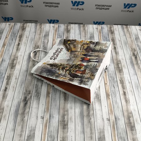 Крафт пакет с кручеными ручками, 25*22*12 (В*Ш*Г) см, 