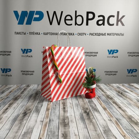 Крафт пакет с кручеными ручками, 25*22*12 (В*Ш*Г) см, 