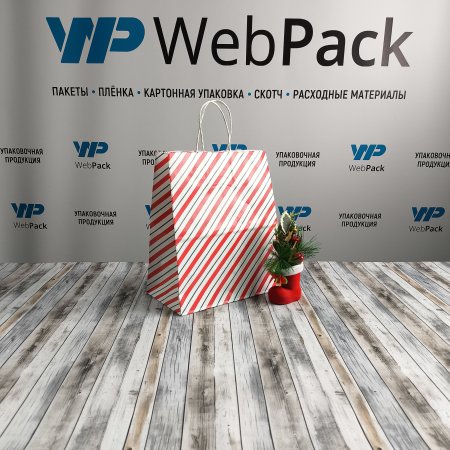 Крафт пакет с кручеными ручками, 25*22*12 (В*Ш*Г) см, 