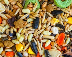 Дой-пак — идеальная упаковка для корма хомяков